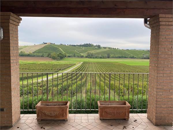Terreno Agricolo sui Colli Piacentini